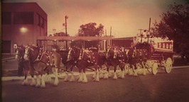 Lights on horses 