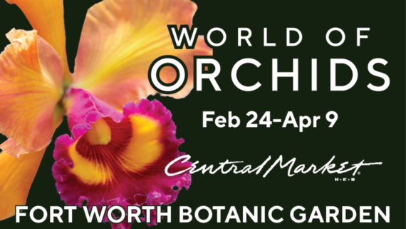 World of Orchids at Fort Worth Botanic Garden