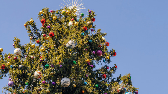 Sundance square tree