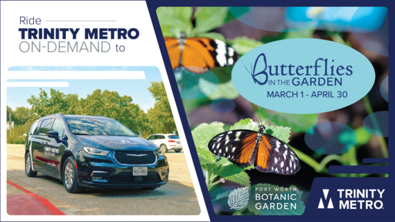 Fort Worth Botanic Garden