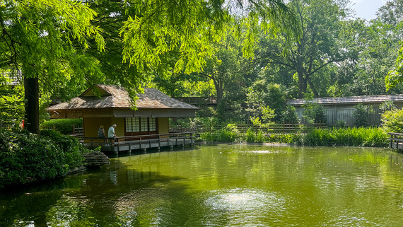 Fort Worth Botanic Garden Japanese Festival
