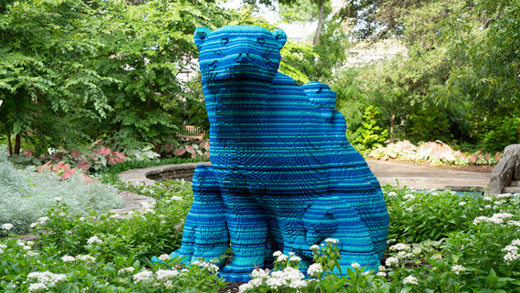 On-Demand Fort Worth Botanic Garden