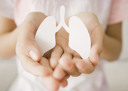 paper cutout of lungs