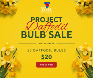 KTYB Bulb Sale