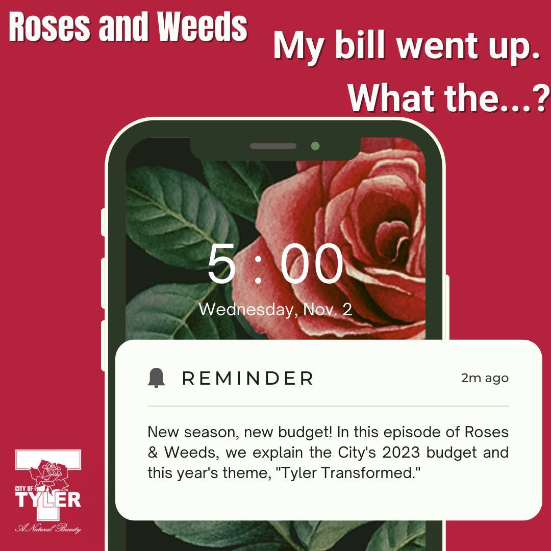 Roses and Weeds Budget 2023