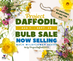 Project Daffodil