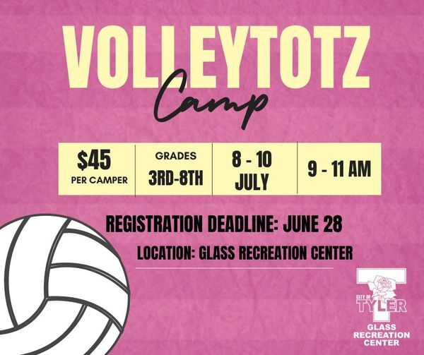 VolleyTotz Camp