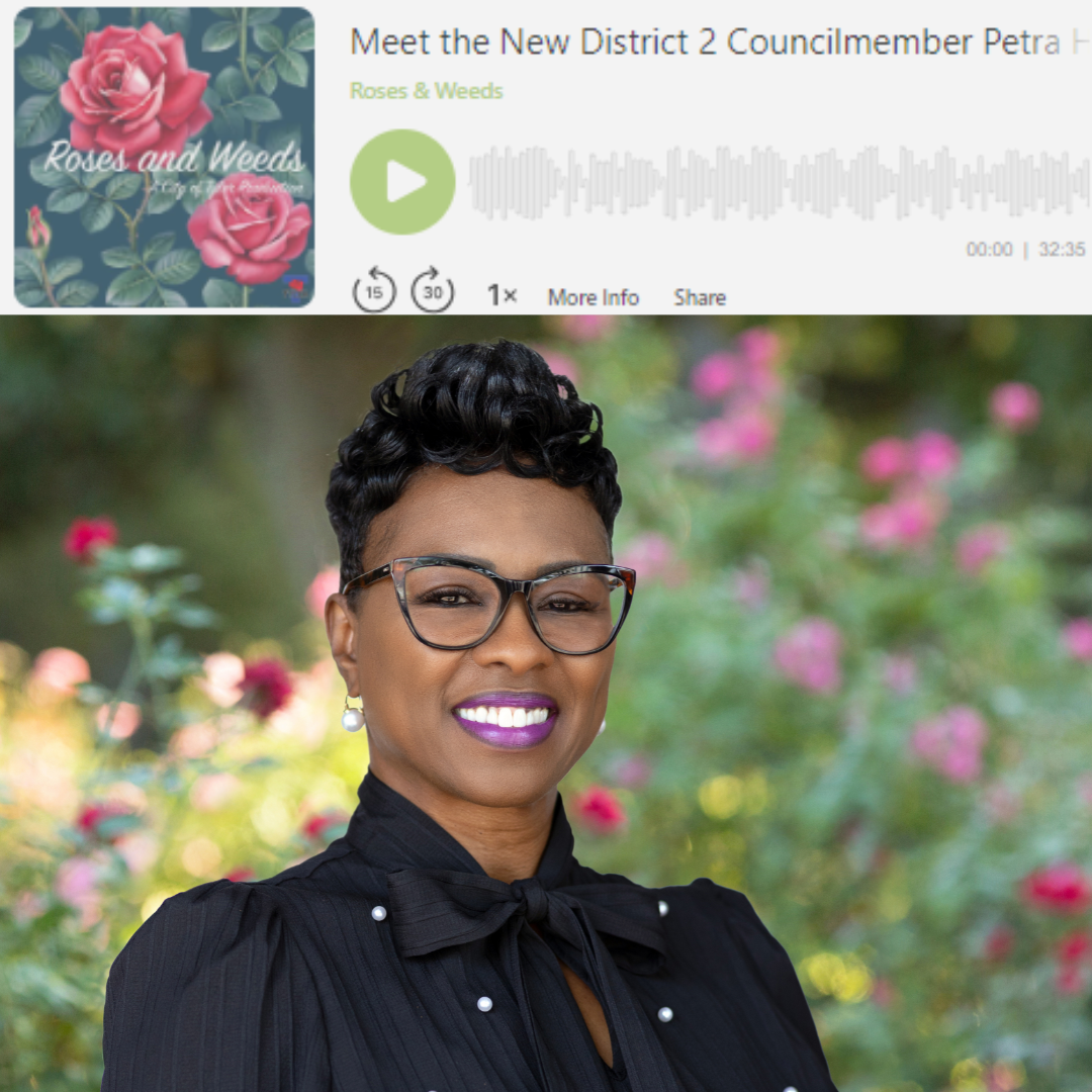 Roses and Weeds: Petra Hawkins