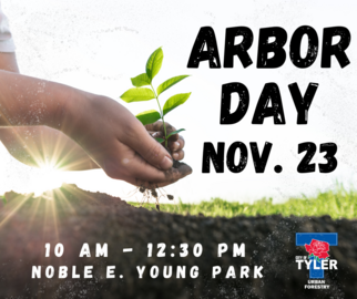 Arbor Day Nov 23