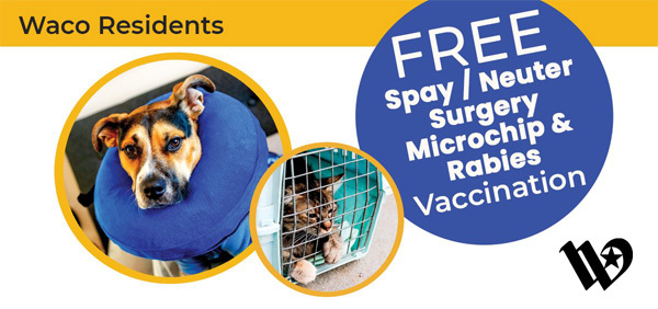 Free Spay/Neuter Surgery, Microchip and Rabies Vaccination for Waco Residents