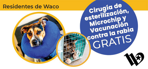 Cirugía de esterilización, microchip y vacunación contra la rabia gratis para residentes de Waco