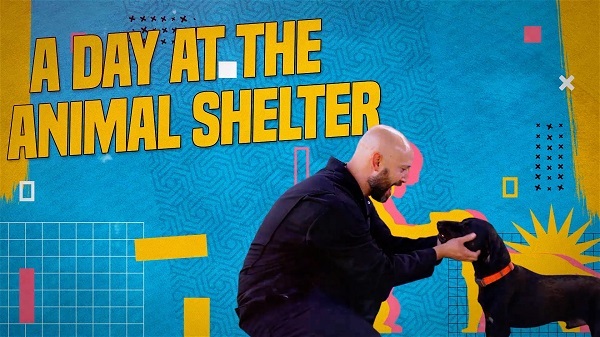 Video thumbnail for On the Job: A Day at the Animal Shelter featuring Robbie playing a with a black dog.