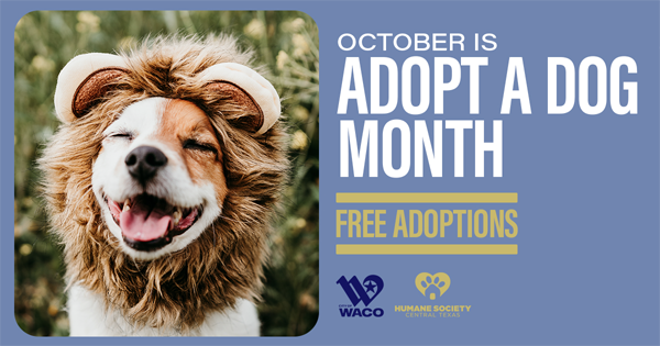 Photo of happy dog in a lion costumer with text that reads October is Adopt a Dog Month. Free Adoptions. 