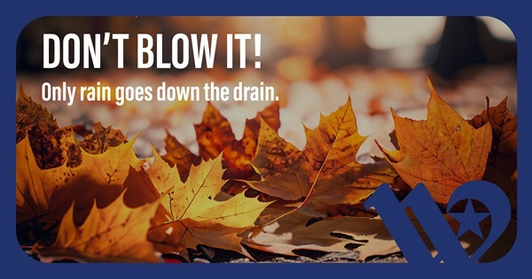 Graphic with leaves and text that reads Don't Blow It! Only rain goes down the drain.