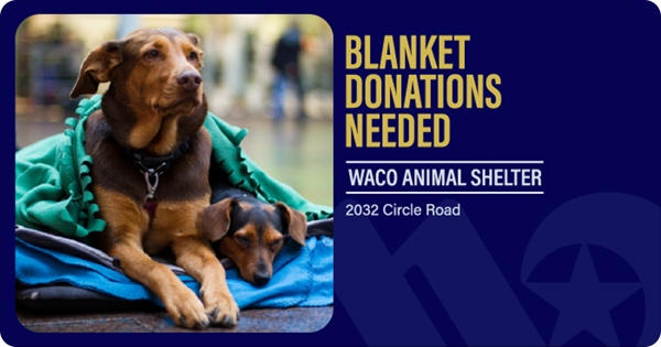 Image of a dog and her puppy under blankets with text that reads Blanket Donations Needed at the Waco Animal Shelter. 2032 Circle Road.