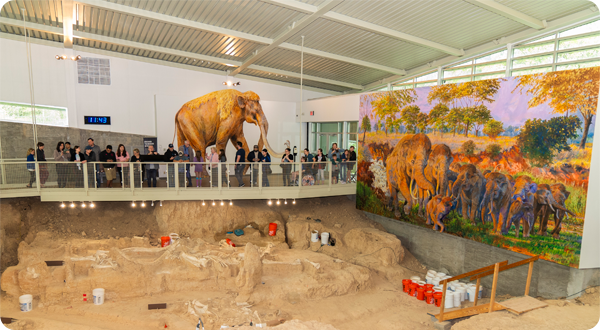 A group of families overlooking the Mammoth National Monument dig site.