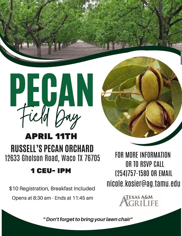 Pecan Day