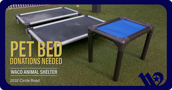 Pet beds at the animal shelter