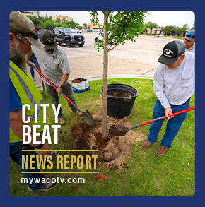 Watch the latest City Beat video