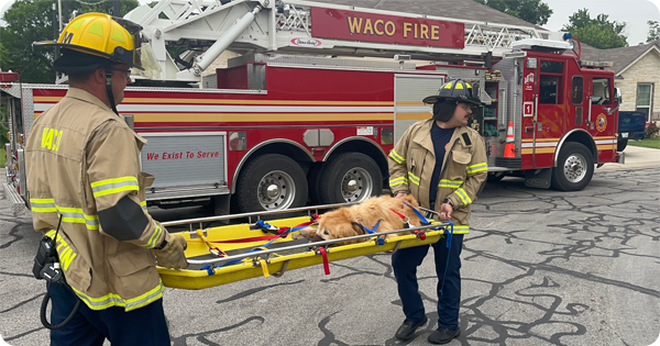 Waco Firefighters carrying a dog on a gurney. 