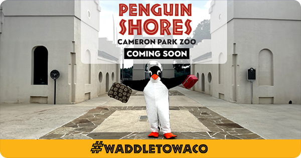 Man in a penguin suit holding luggage