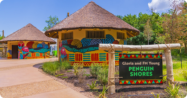 Huts with bright South African-inspired murals. A welcome sign reads: Gloria and FM Young Penguin Shores