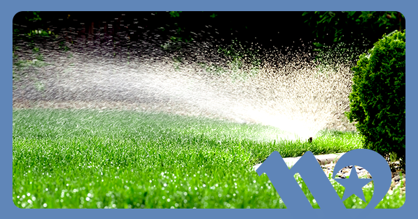 Water sprinkler watering green lawn