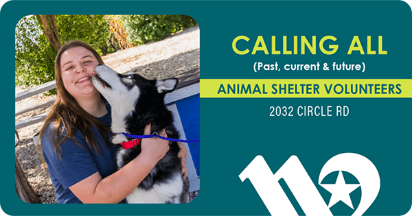 Black and white dog licking happy woman