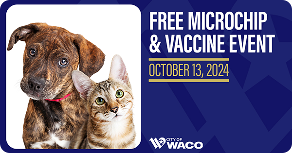 A brown dog and a tan and white striped cat