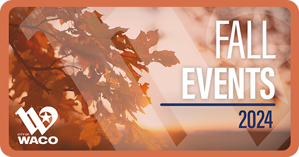 Orange fall leaves at sunset