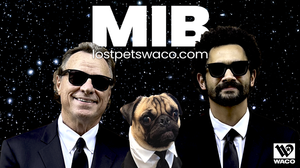 Two men in suits and sunglasses stand next to a pug dog