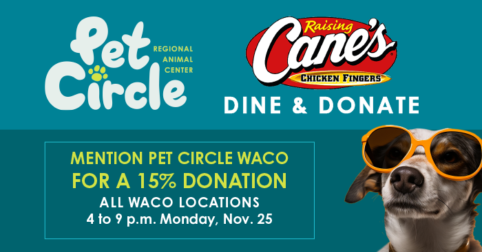 A dog wearing sunglasses looking at the Pet Circle Waco and Raising Cane's logos