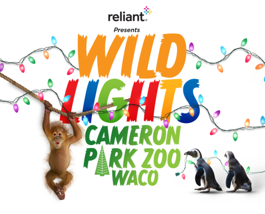 Cameron Park Zoo Wild Lights