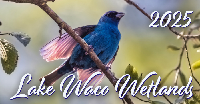 waco wetlands calendar 2025