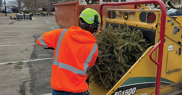 A man in a bright orange sweater pushing a tree into a wood chipper