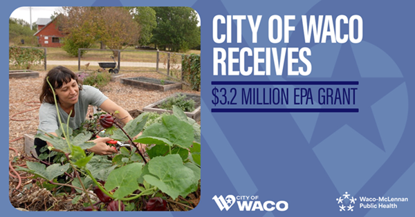 A woman tending to large leafy plants in a garden