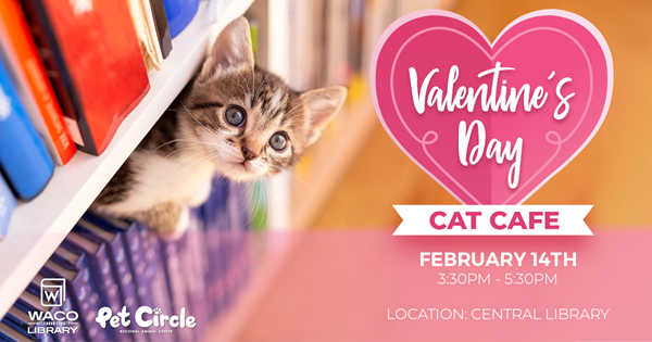 A kitten poking out of a bookshelf