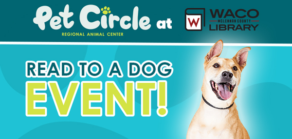 A happy tan-colored dog with its tongue sticking out