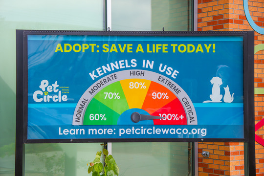 A photo of the sign out front of Pet Circle's Adoption Center that shows over capacity
