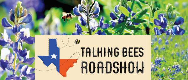 Bees and bluebonnets
