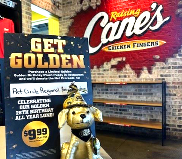 A golden dog plushy at Raising Cane's