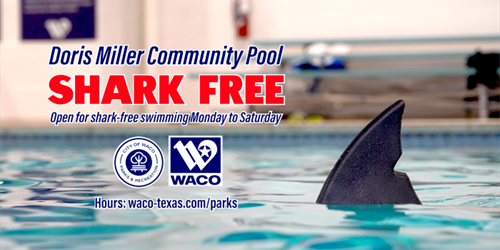 a shark fin popping out of a community pool