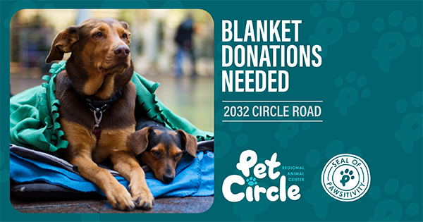 Large and small brown dogs in tattered blankets