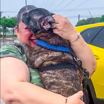 A woman happily hugging her brown dog