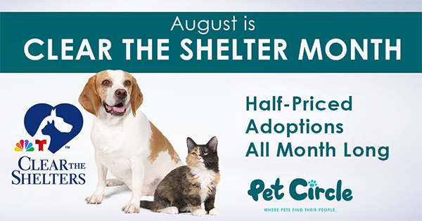 A white dog with brown spots and a brown cat.