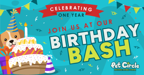 A cartoon dog with a party hat, birthday cake, presents, and confetti 