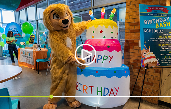 Watch the Pet Circle Birthday Bash Recap