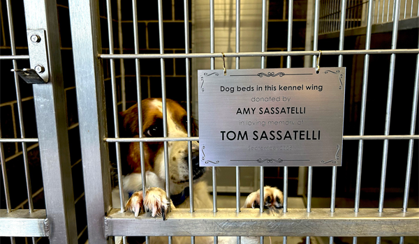 Dog shelter kennel with plaque: Dog beds in this kennel wing donated by Amy Sassatelli in loving memory of Tom Sassatelli