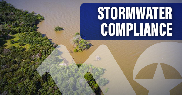 Overflowing river bank