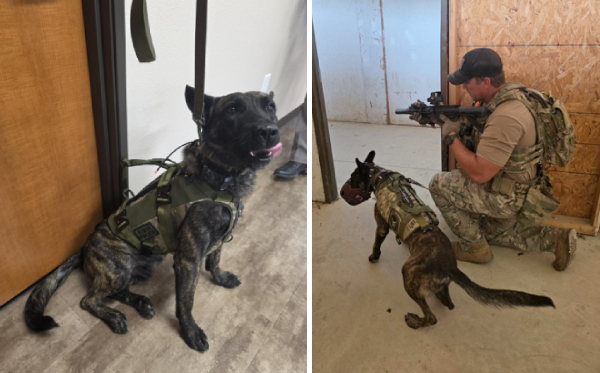 Lito in his vest and with handler